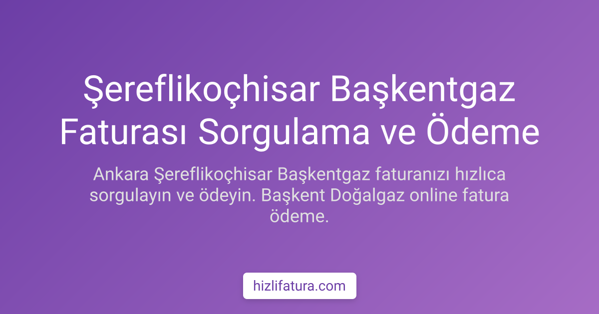 Şereflikoçhisar Doğalgaz Faturası Ödeme - Ankara Yöntemleri