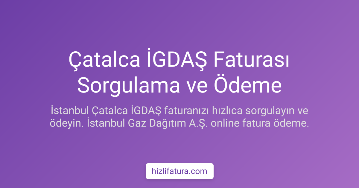 Çatalca Doğalgaz Faturası Ödeme - İstanbul Yöntemleri